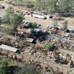 Saleyards