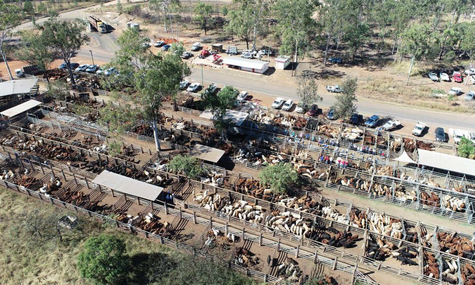 Saleyards