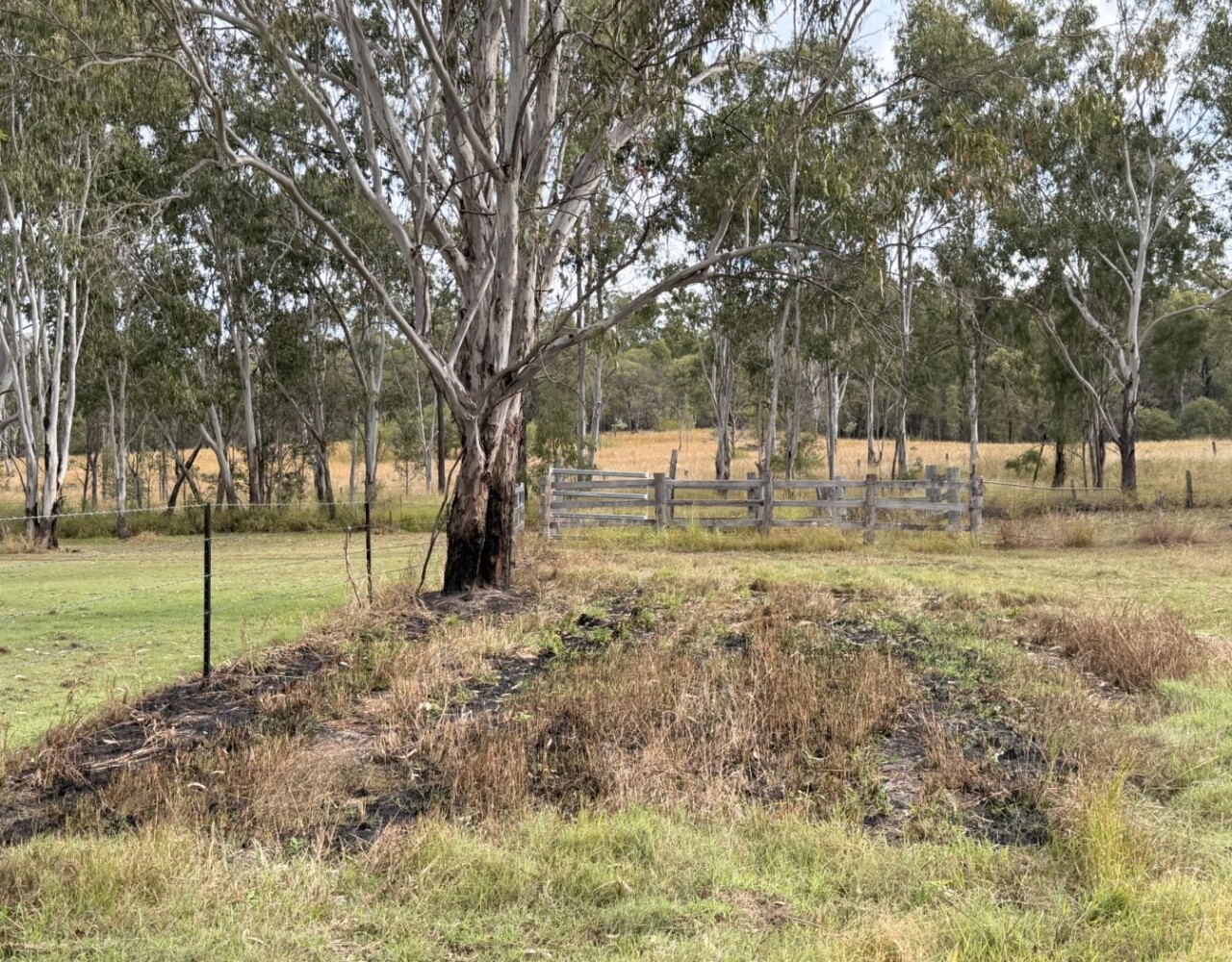 Radio Station Road, Eidsvold, QLD 4627 Australia