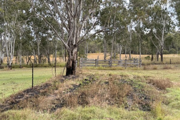 Radio Station Road, Eidsvold, QLD 4627 Australia