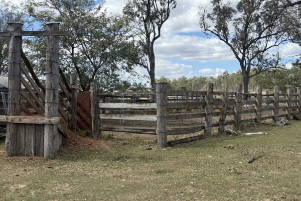 Glenleigh, Qld 4630 australia