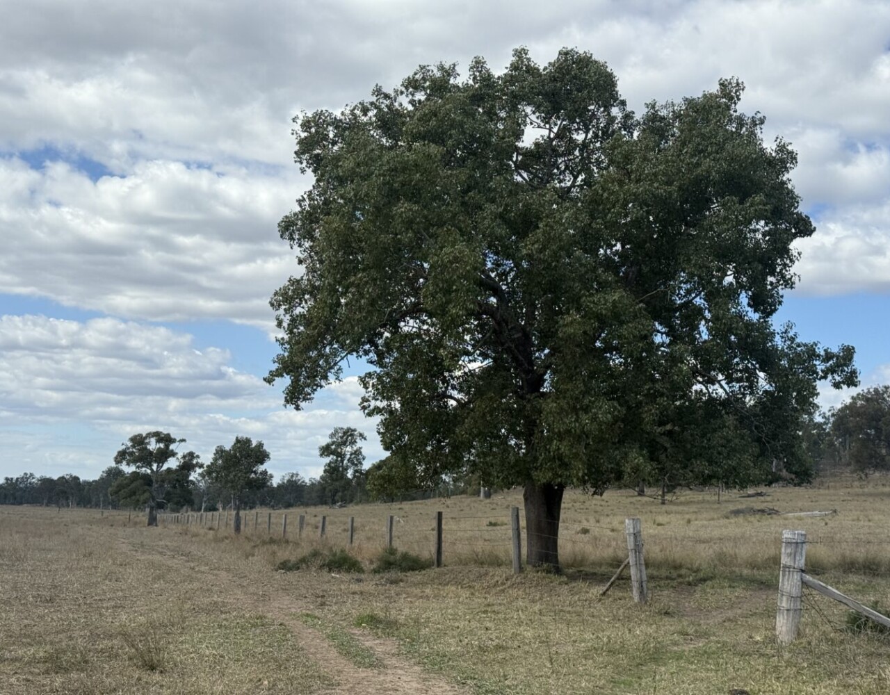 Glenleigh, Qld 4630 australia