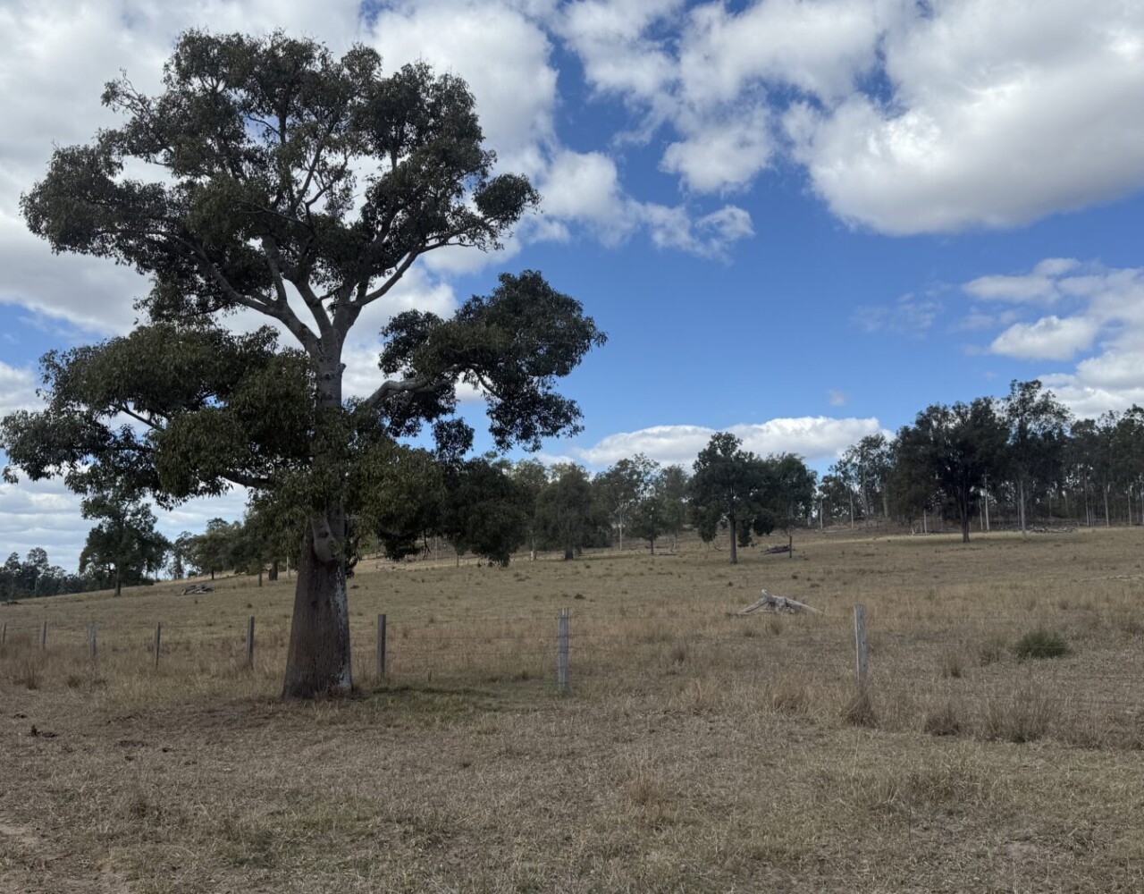Glenleigh, Qld 4630 australia