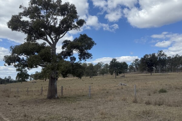 Glenleigh, Qld 4630 australia