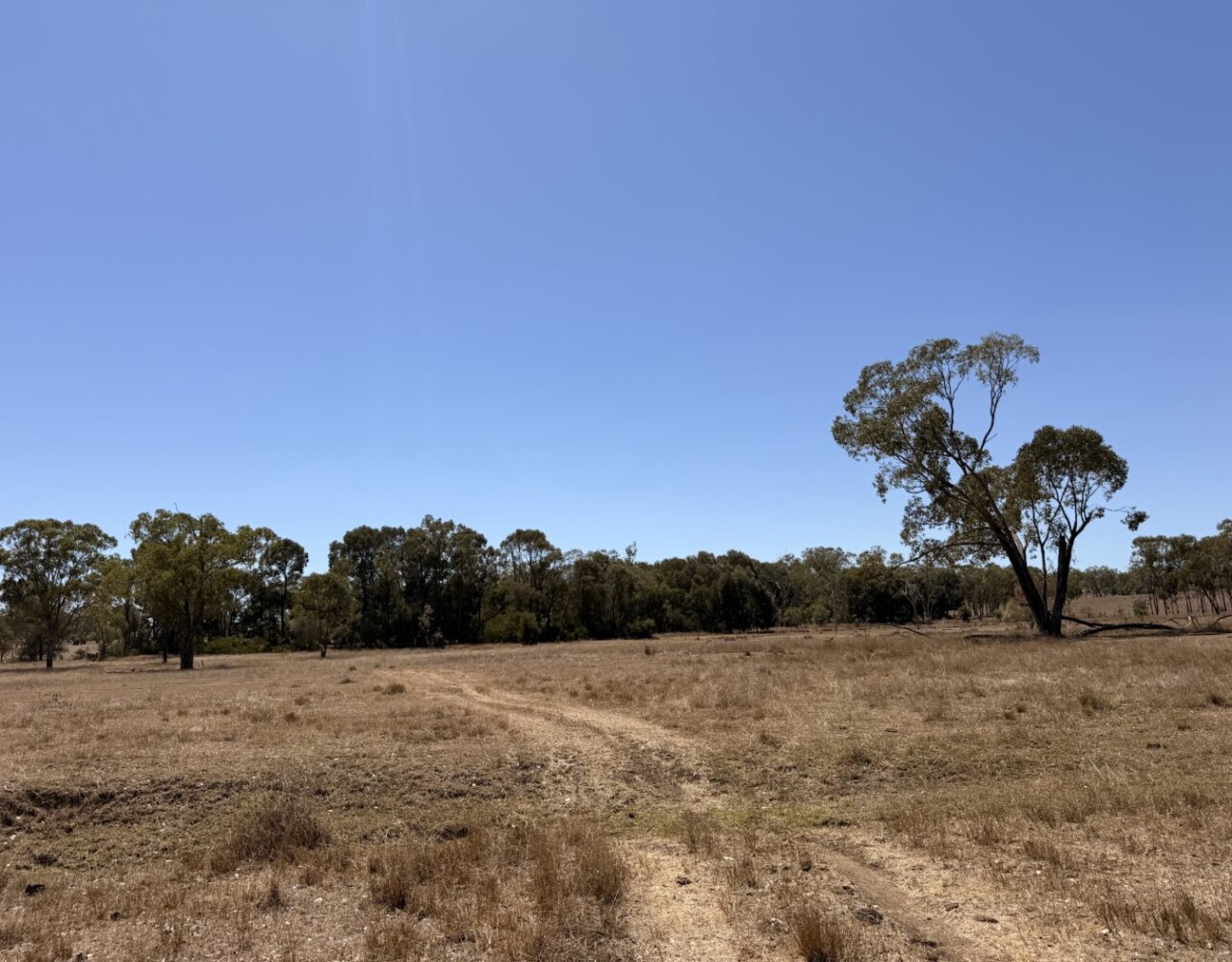 104 Luthje Road, Monto, QLD 4627