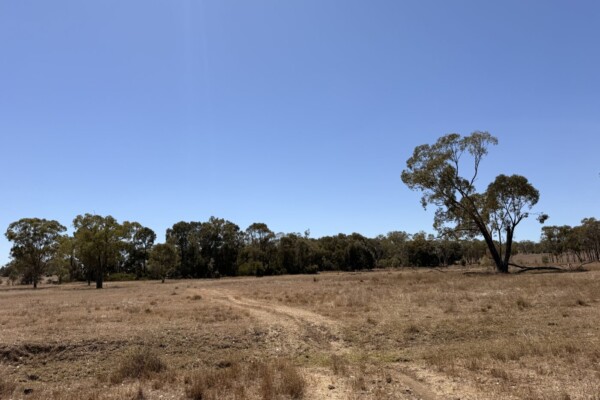 104 Luthje Road, Monto, QLD 4627