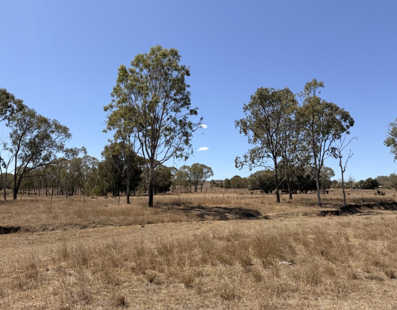 104 Luthje Road, Monto, QLD 4627