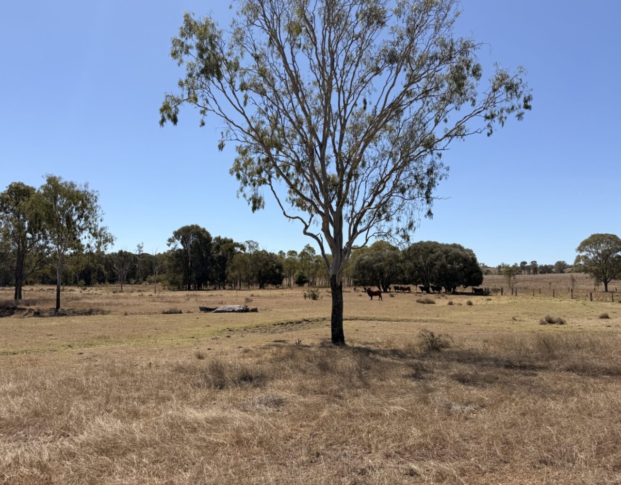 104 Luthje Road, Monto, QLD 4627