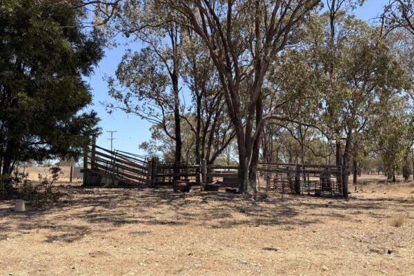104 Luthje Road, Monto, QLD 4627
