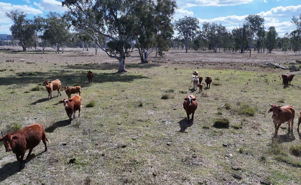 Glenleigh, Qld 4630 australia