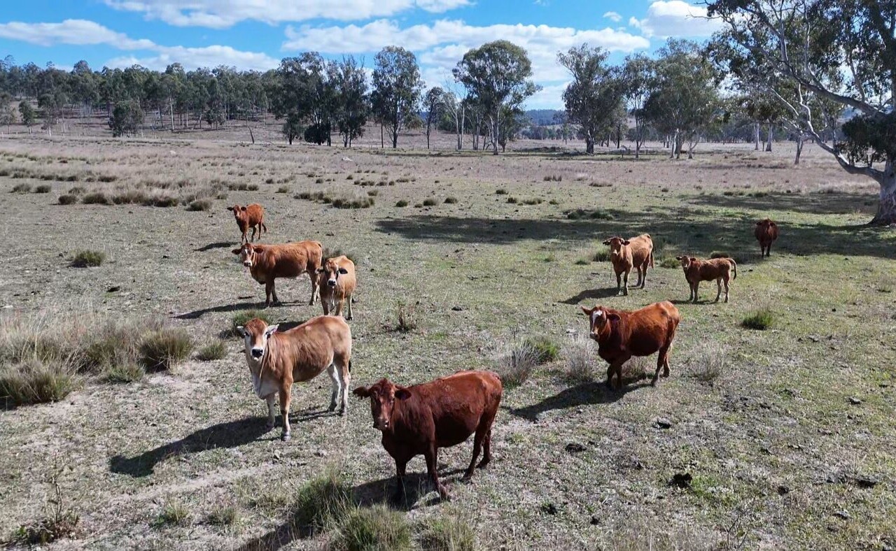 Glenleigh, Qld 4630 australia