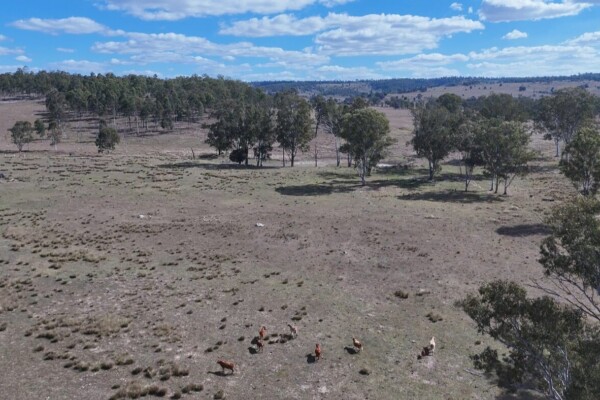 Glenleigh, Qld 4630 australia