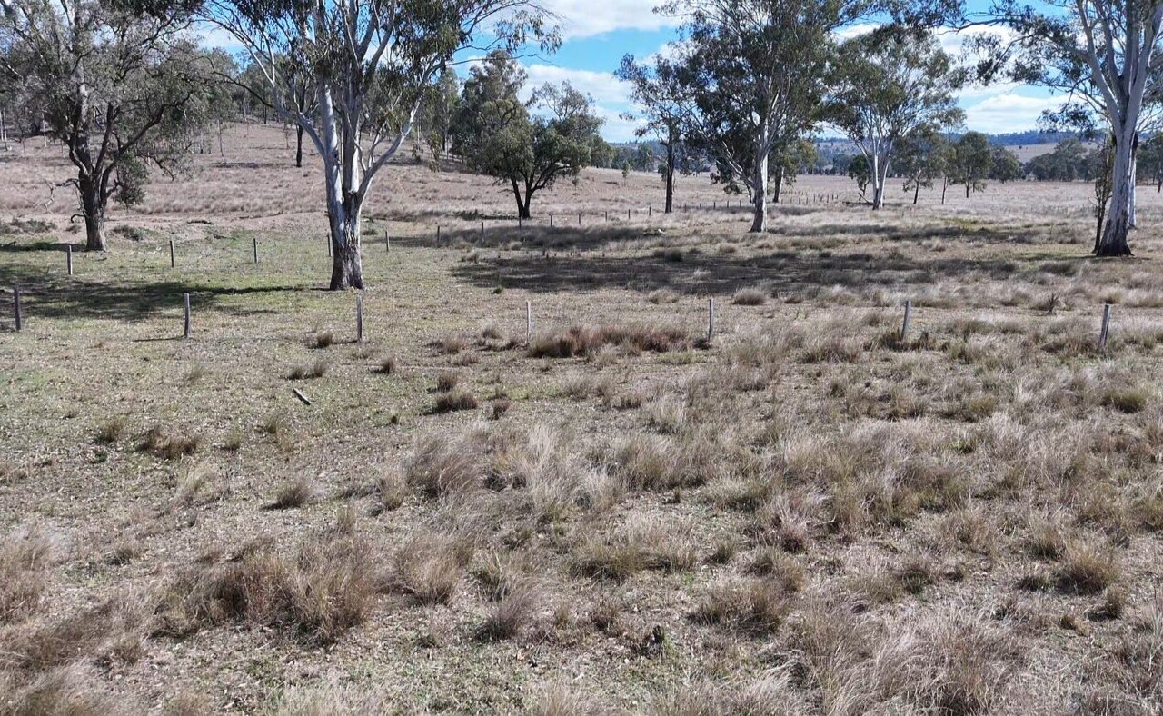 Glenleigh, Qld 4630 australia