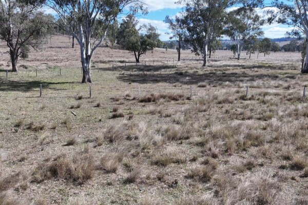 Glenleigh, Qld 4630 australia
