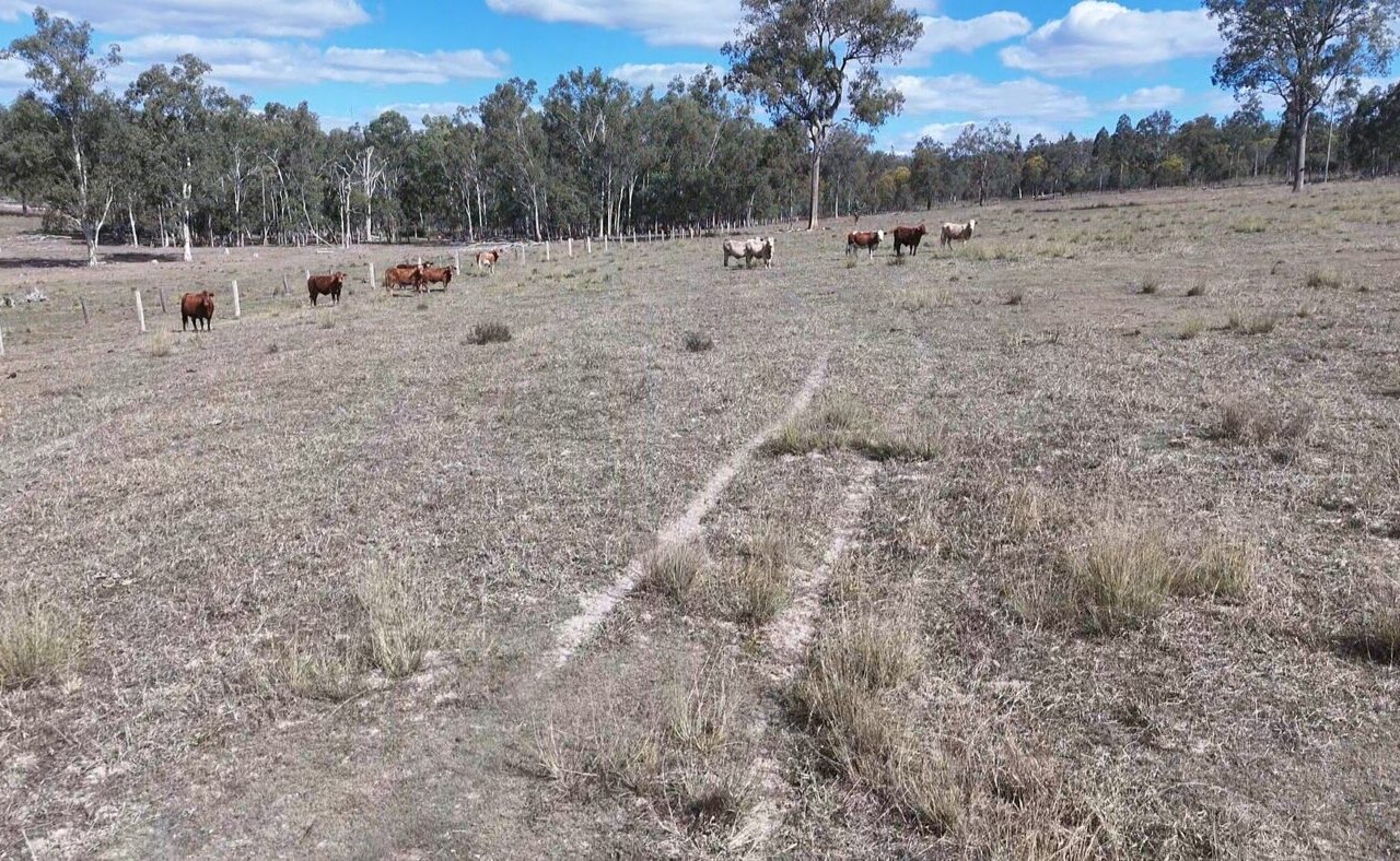 Glenleigh, Qld 4630 australia