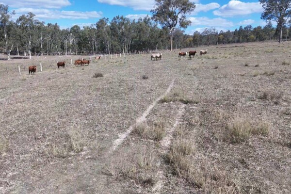 Glenleigh, Qld 4630 australia