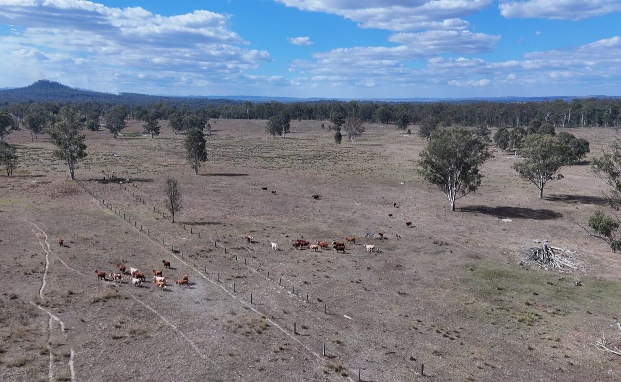 Glenleigh, Qld 4630 australia