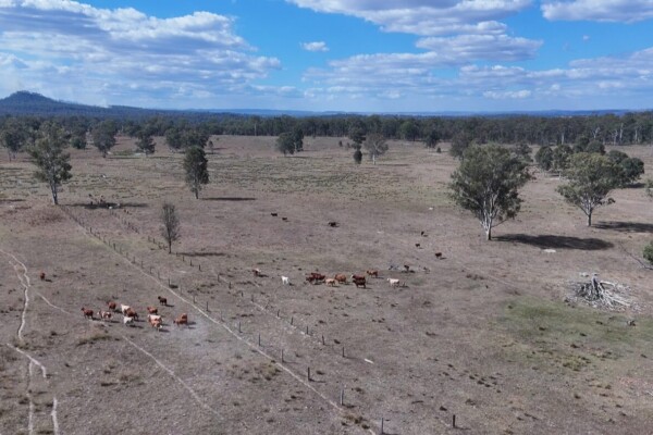 Glenleigh, Qld 4630 australia